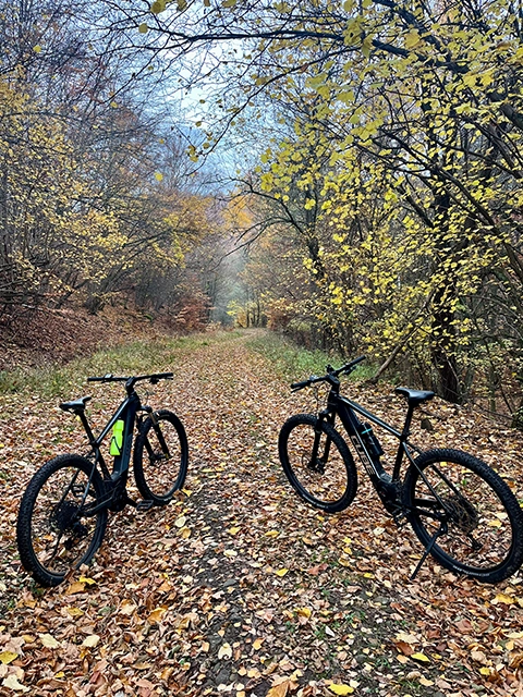 e bike kölcsönzés